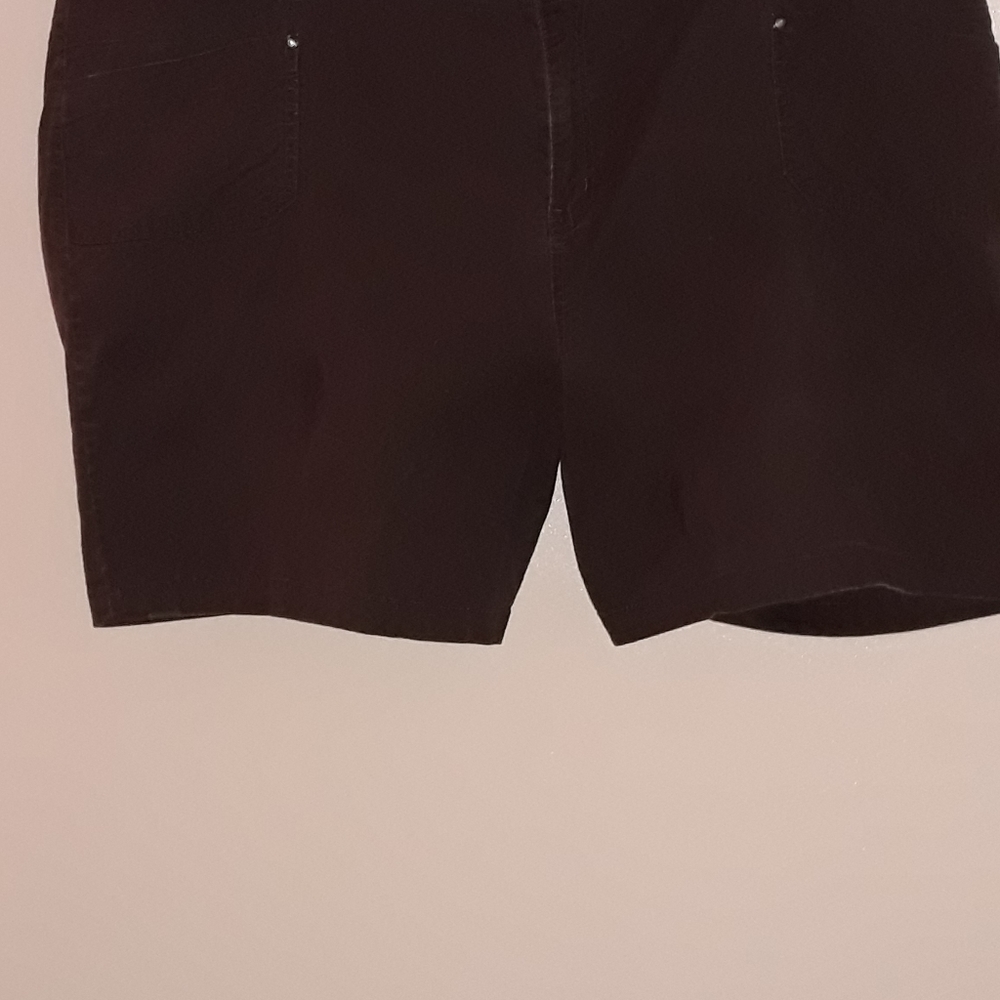 26 Lane Bryant Brown shorts